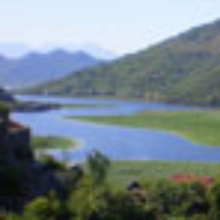 Romarin