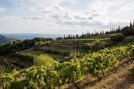 le domaine Saint-Amand