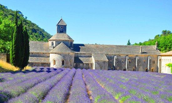 l'abbaye Notre-Dame de Sénanque