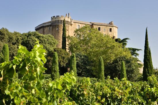 Jardin des Vignes