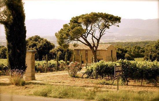 Domaine Les Perpetus