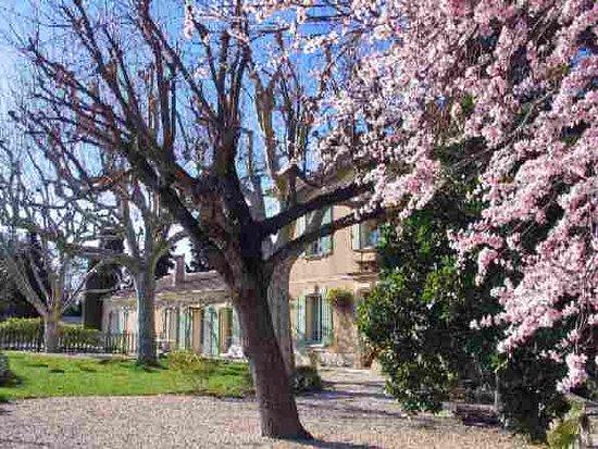 Chateau du Trignon