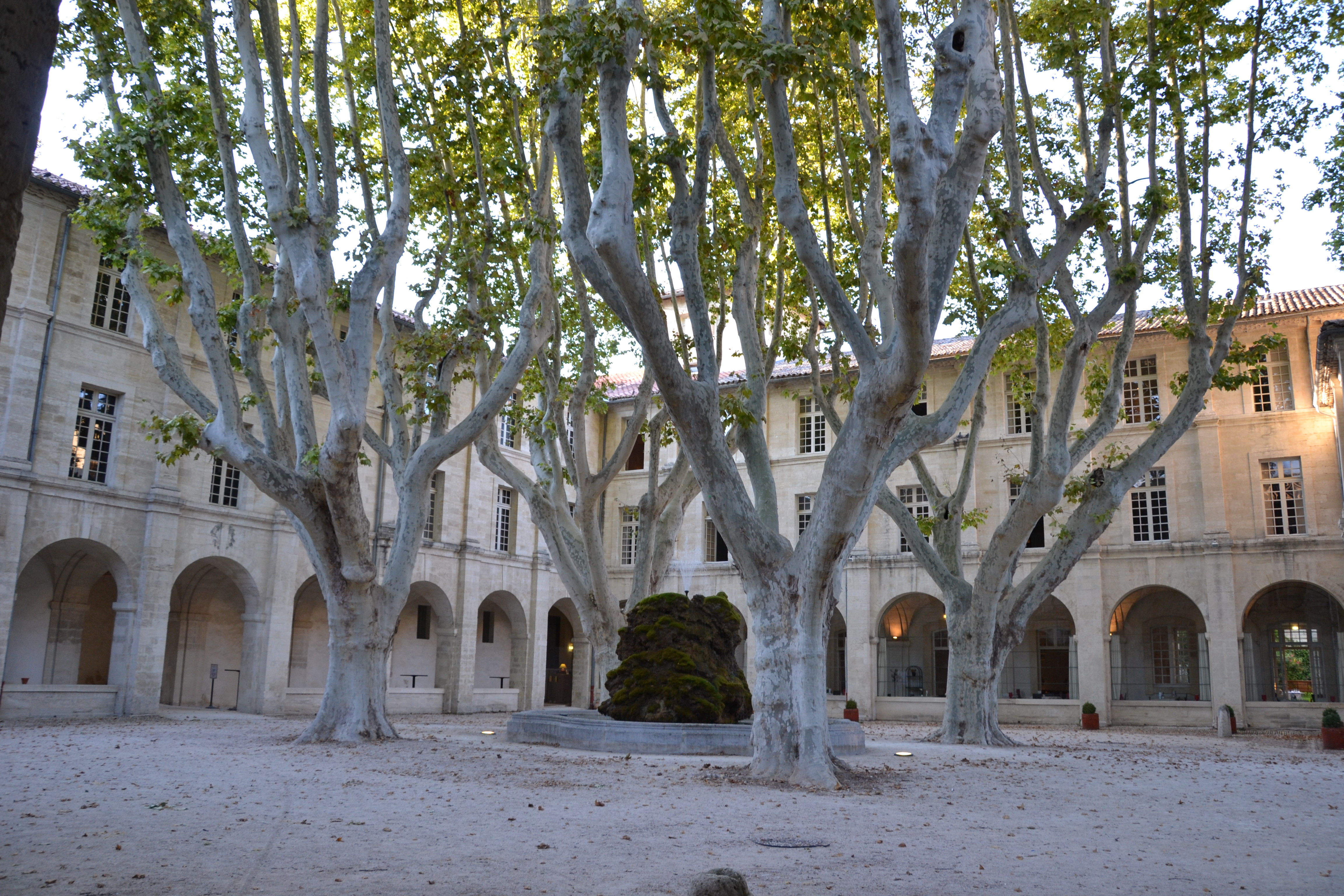 Noviciat des Jésuites d'Avignon
